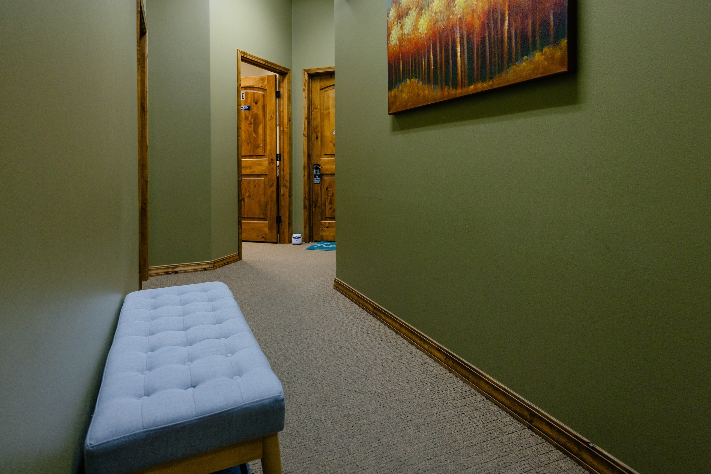 The entry hall to the Misty Mountains Suite room, showing a bench for waiting patients to sit. The vibes are inviting.